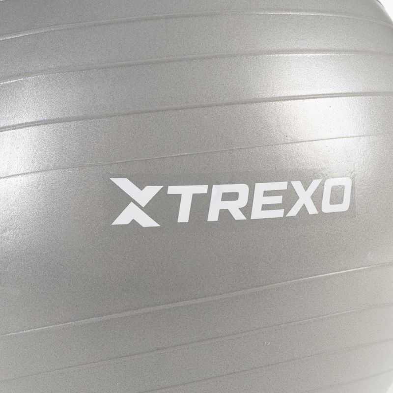 TREXO Gymball TXO-B4Z008-GY 65 cm grigio 5