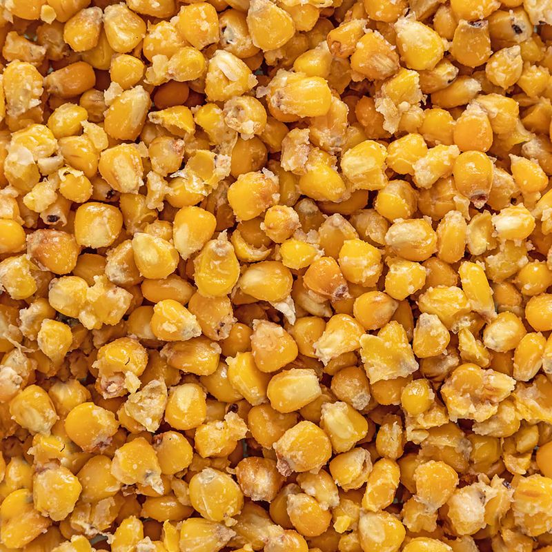 Carpa Target ananas mais da pesca + secchio da 10 l 5