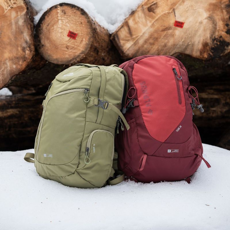 Zaino da trekking Alpinus Lecco 25 l verde chiaro 9
