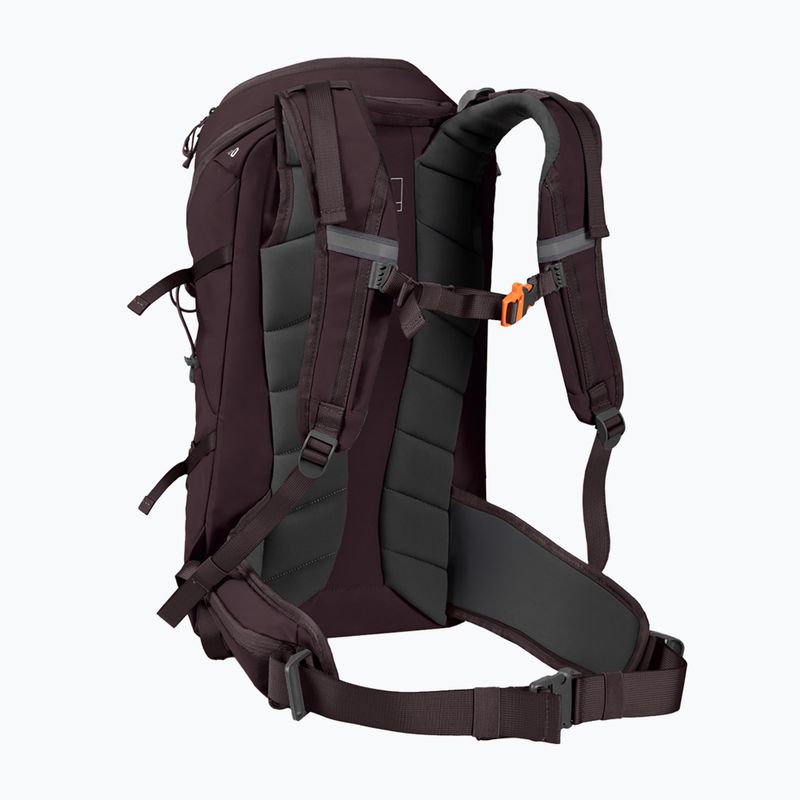 Zaino da trekking Alpinus Teno 24 l gray 2