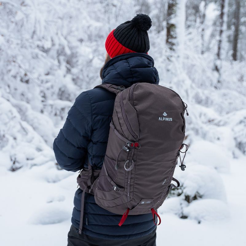 Zaino da trekking Alpinus Teno 24 l gray 5