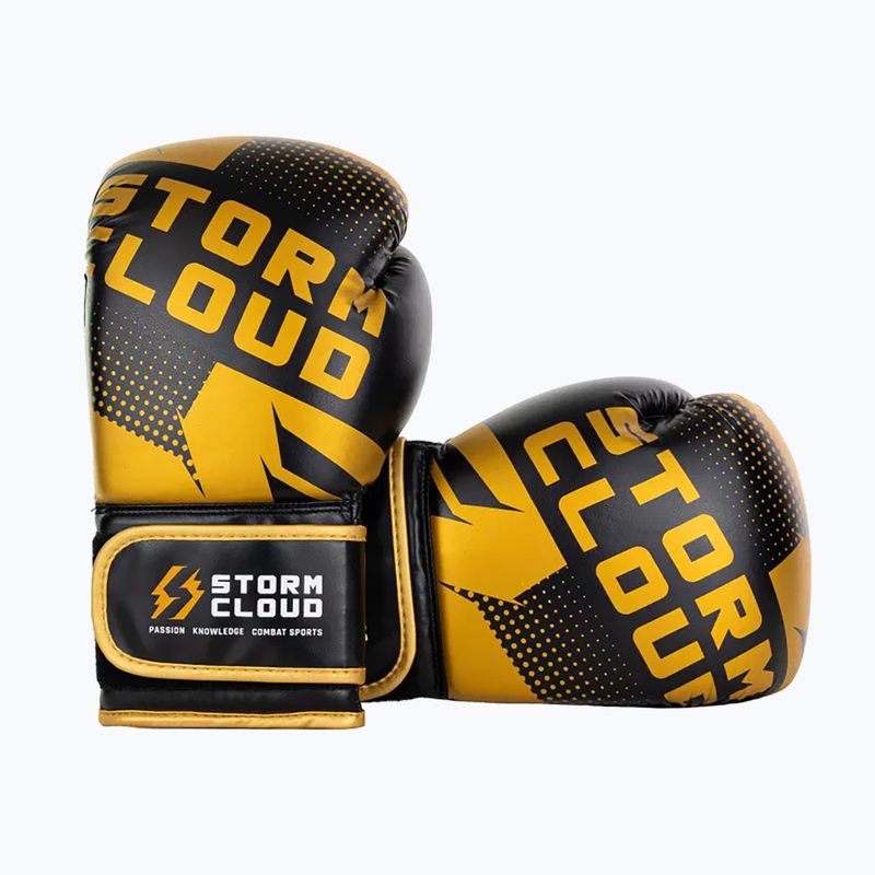 Guantoni da boxe StormCloud Bolt 3.0 black/gold 3