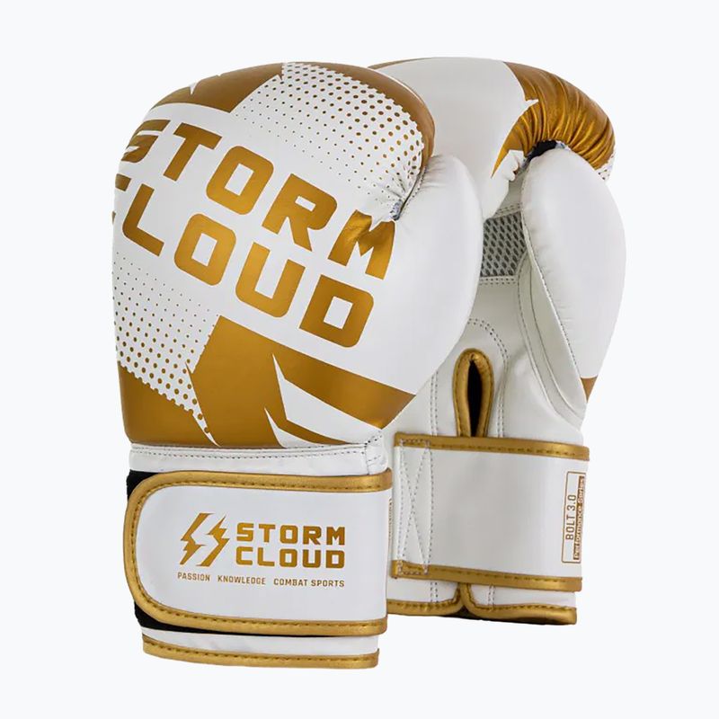 Guantoni da boxe StormCloud Bolt 3.0 white/gold 2