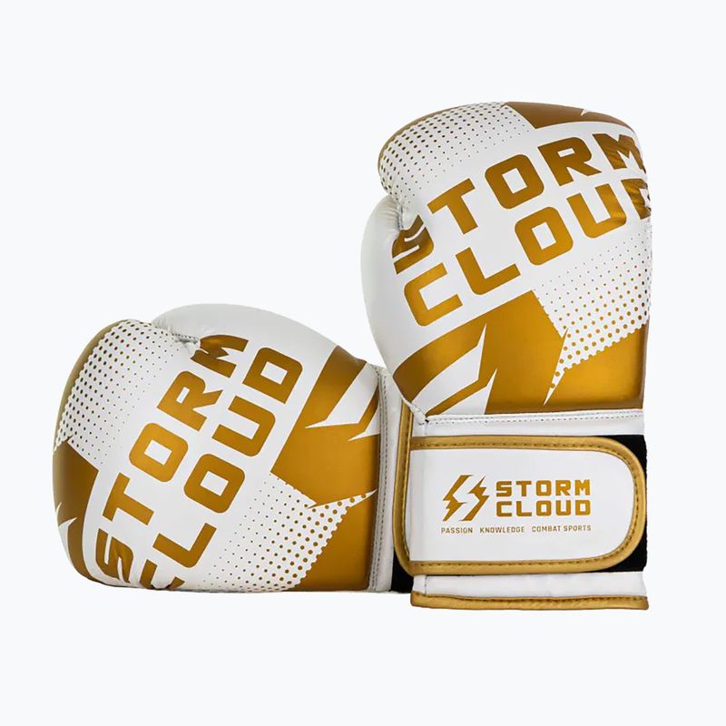 Guantoni da boxe StormCloud Bolt 3.0 white/gold 3