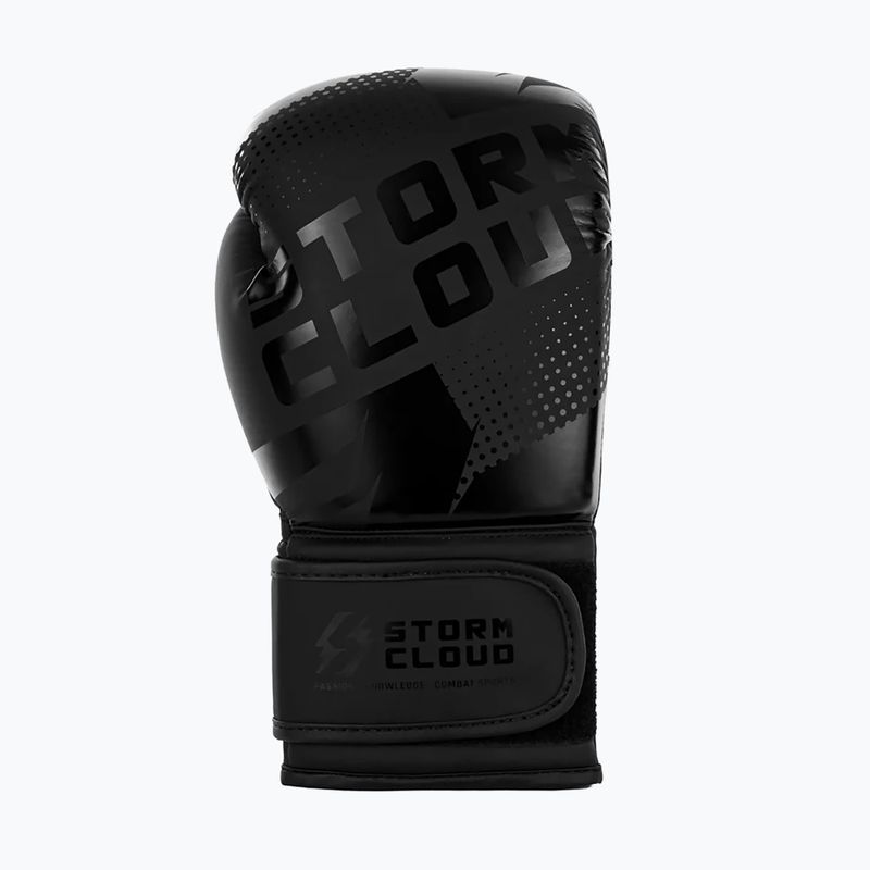 Guantoni da boxe StormCloud Bolt 3.0 black/black 4
