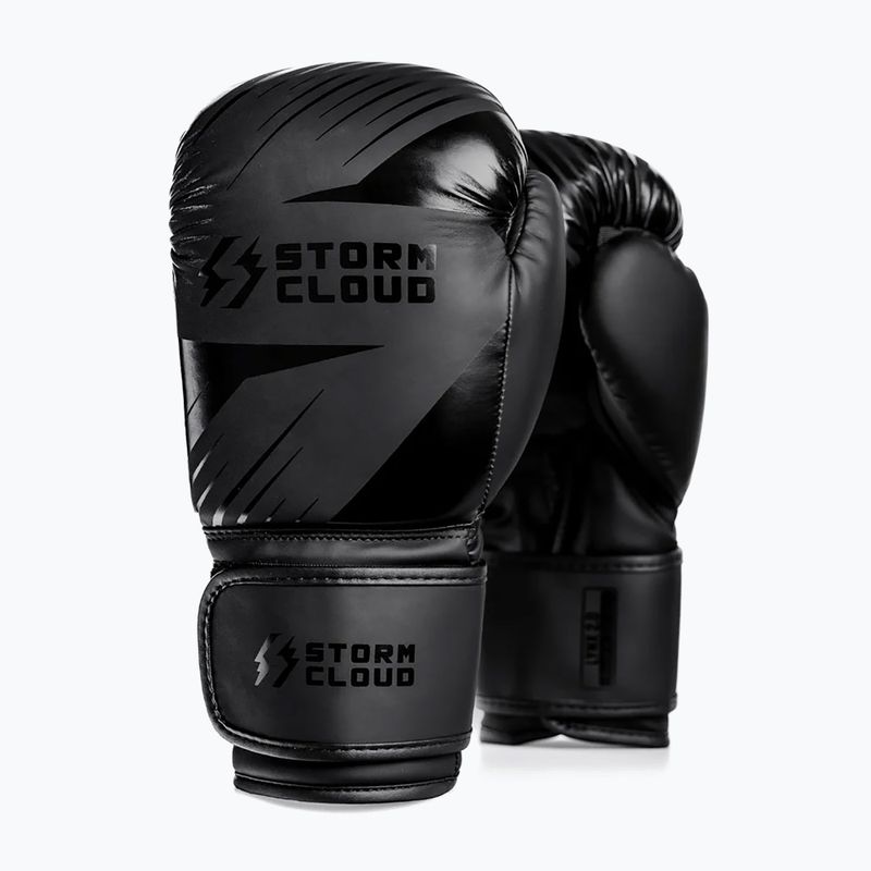 Guantoni da boxe StormCloud Lynx 2.0 black/black 2