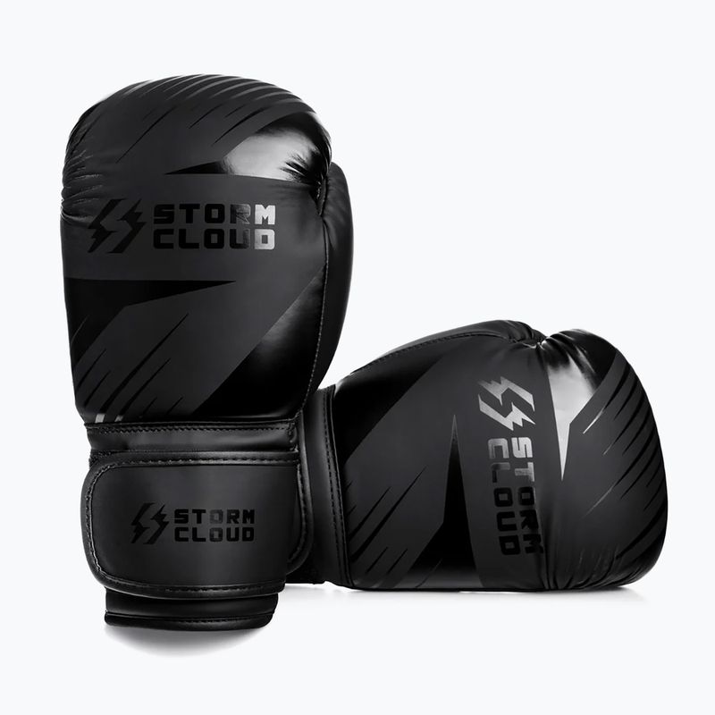 Guantoni da boxe StormCloud Lynx 2.0 black/black 3