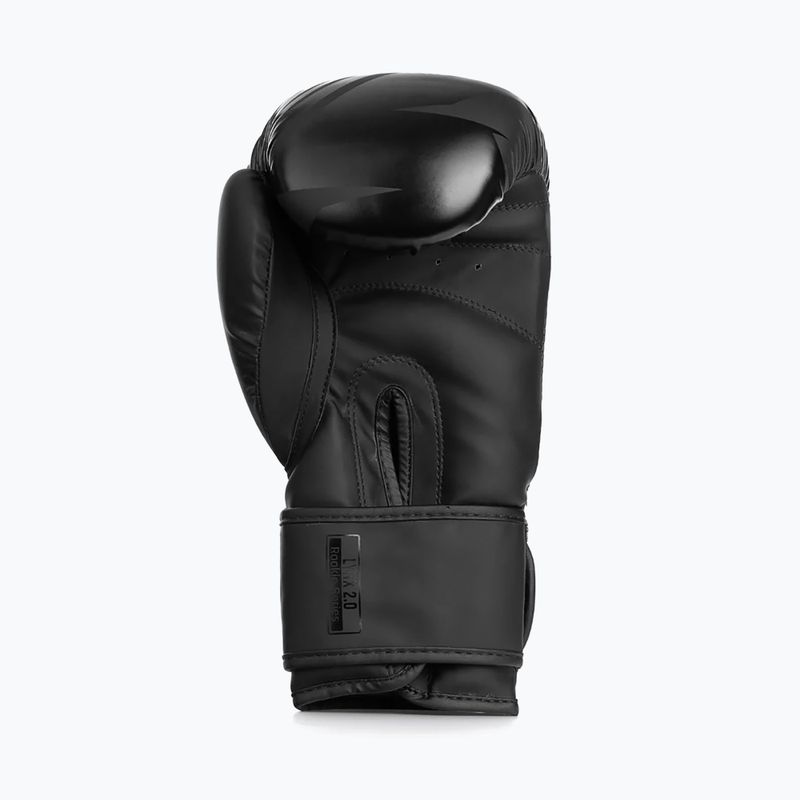 Guantoni da boxe StormCloud Lynx 2.0 black/black 5