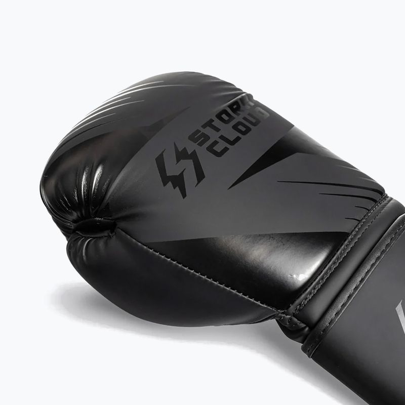 Guantoni da boxe StormCloud Lynx 2.0 black/black 6