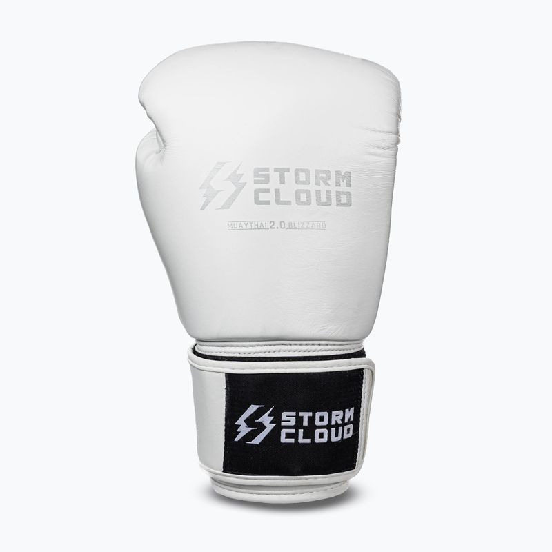 Guantoni da boxe StormCloud Muay Thai Blizzard 2.0 white/silver 2