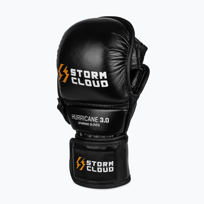 Guantoni da allenamento StormCloud Hurricane 3.0 black/white 2
