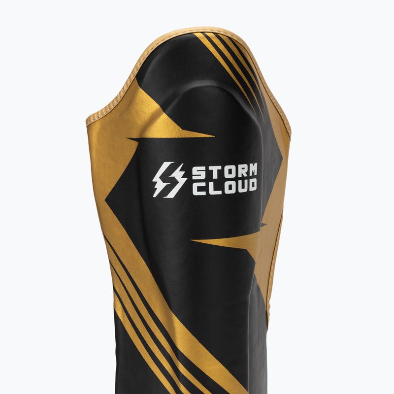 Parastinchi StormCloud Lynx 2.0 black/gold 6