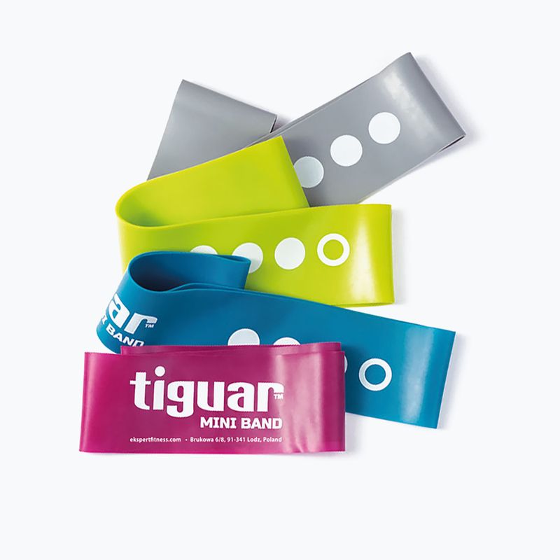 Set di bande di resistenza Tiguar Mini Bands