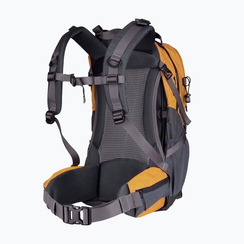 Zaino da trekking Alpinus Tarfala 35 l mustard 2