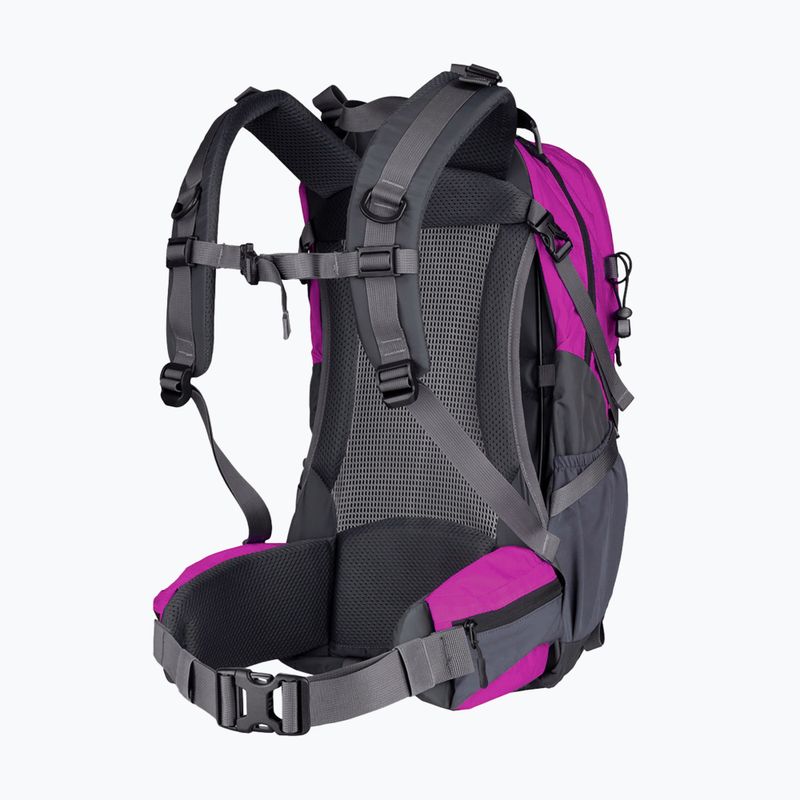 Zaino da trekking Alpinus Tarfala 35 l fuchsia 2