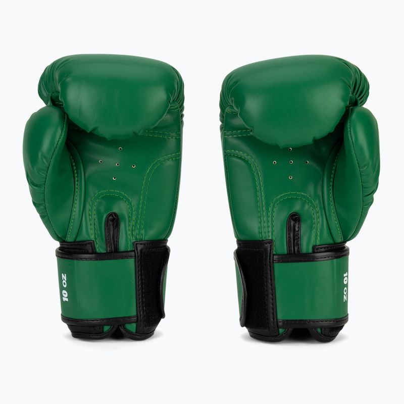 Guantoni da boxe RAJA BOXING Single Semi Leather green 3