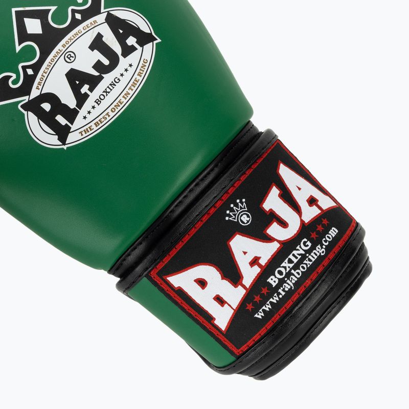 Guantoni da boxe RAJA BOXING Single Semi Leather green 6