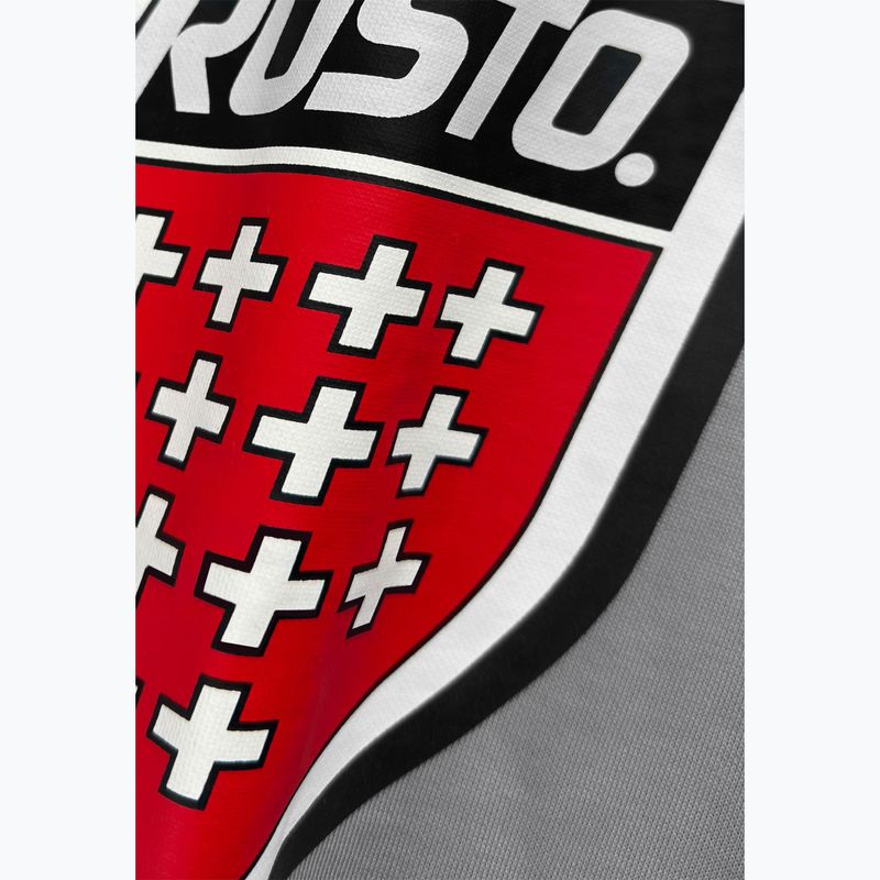 Felpa da uomo PROSTO Big Shield Crewneck gray 3