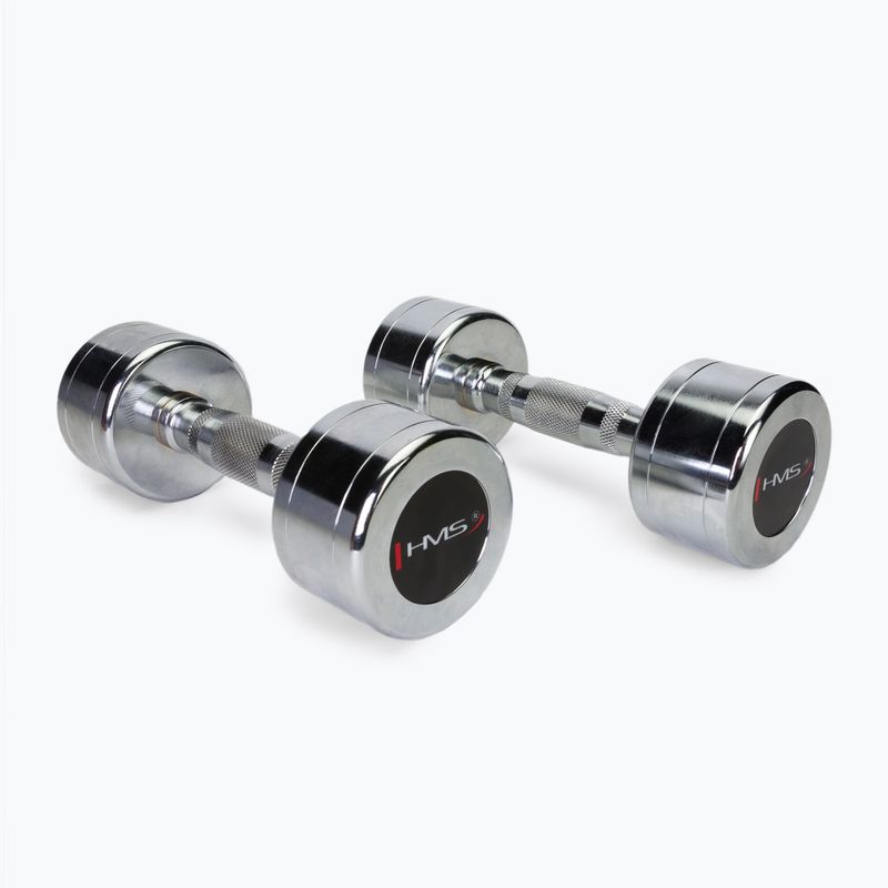 Manubri HMS CHD04 2 pz. 4 kg argento 17-66-183
