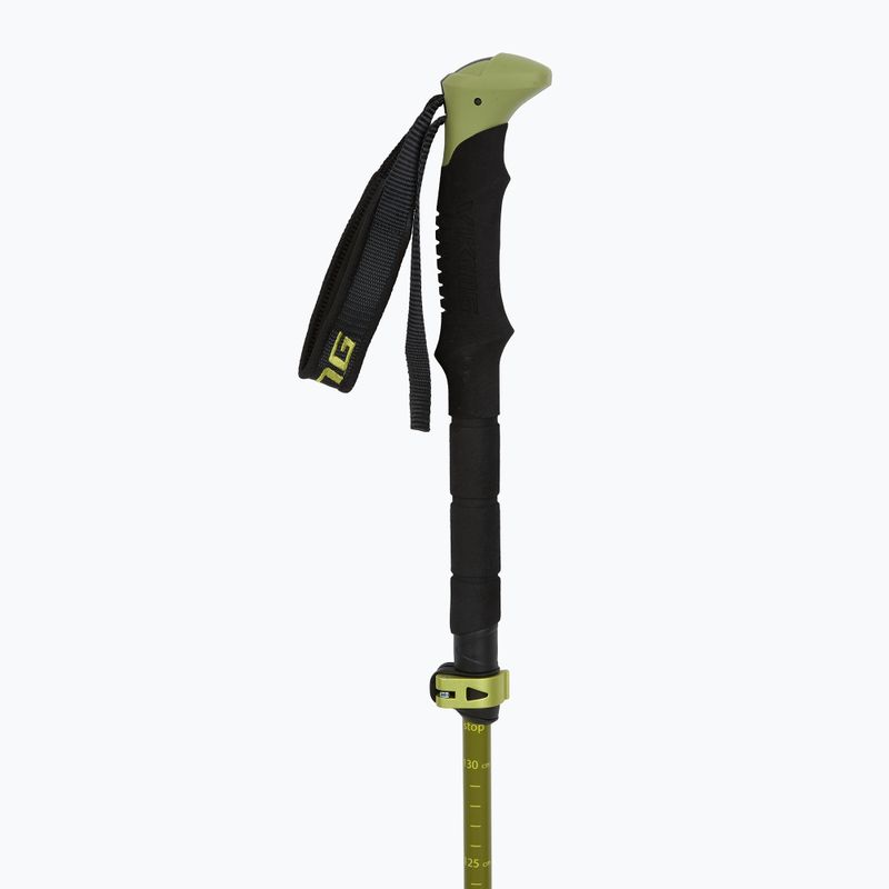Bastoni da trekking Viking Terve 2.0 green 2