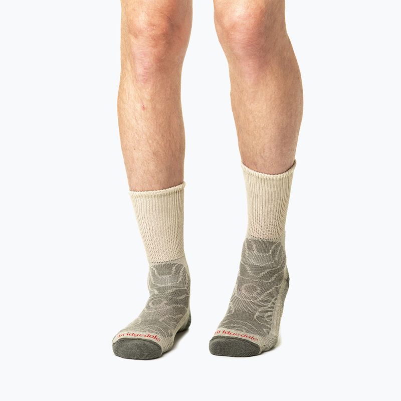 Calzini da uomo Bridgedale Lightweight Merino Comfort Boot Original natural 9