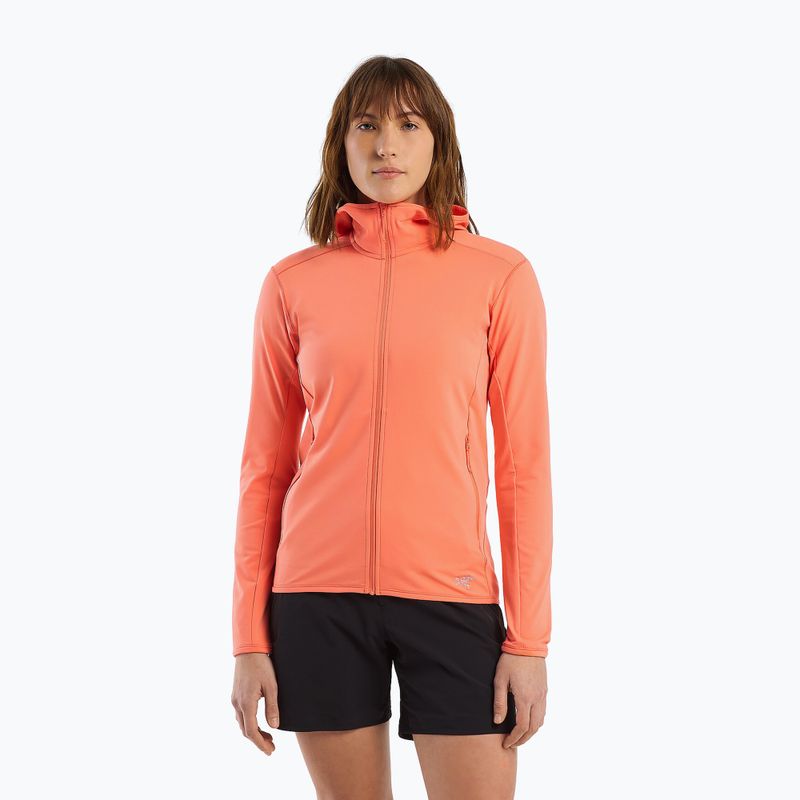 Felpa da trekking Arc'teryx Kyanite LT Hoody solasta da donna