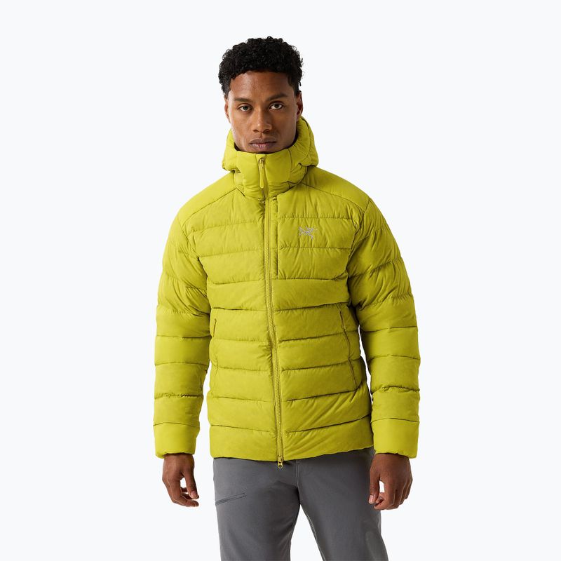 Piumino Arc'teryx Thorium Hoody da uomo