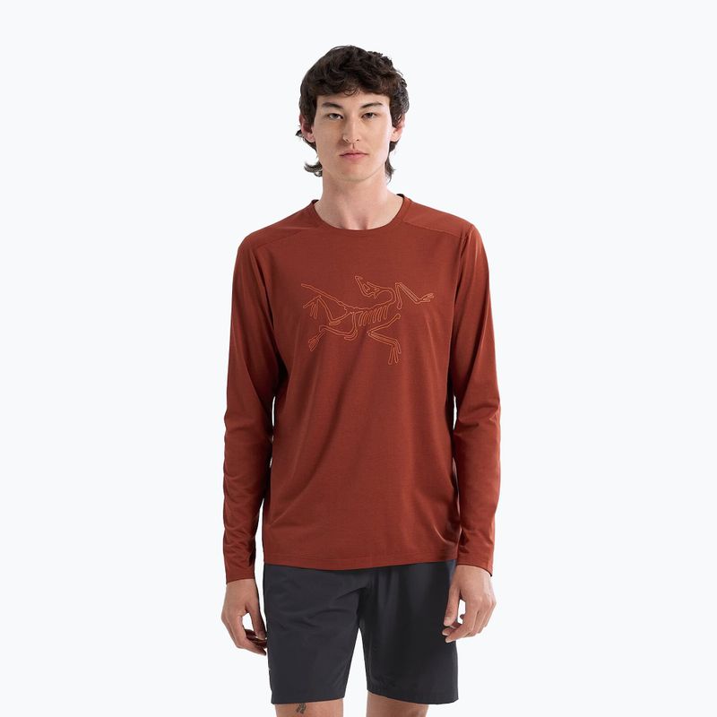 Arc'teryx Uomo Cormac Logo manica lunga sequoia heather/ solaris