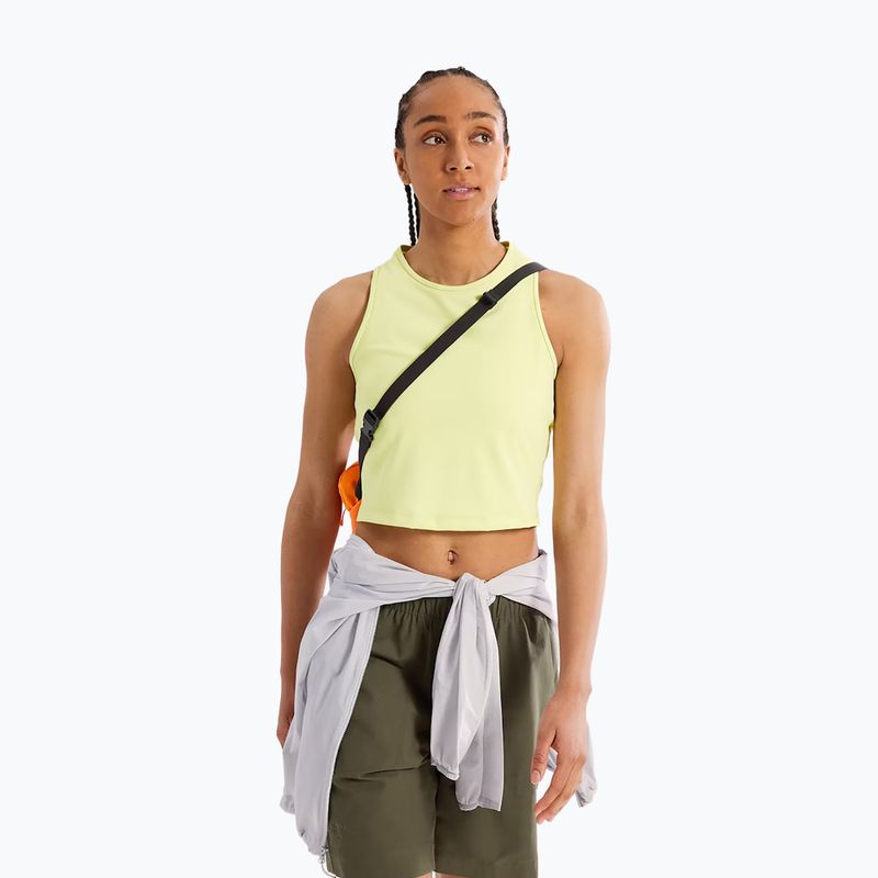 Arc'teryx Mantis 2 2,5 l verve sachet 6