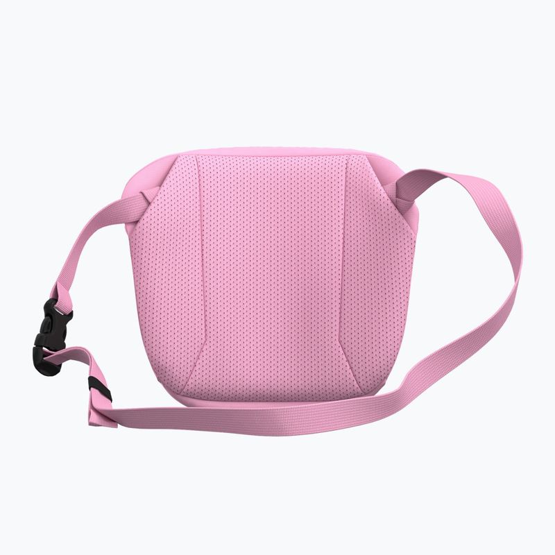 Bustina Arcteryx Mantis 2 2,5 and pineberry 3