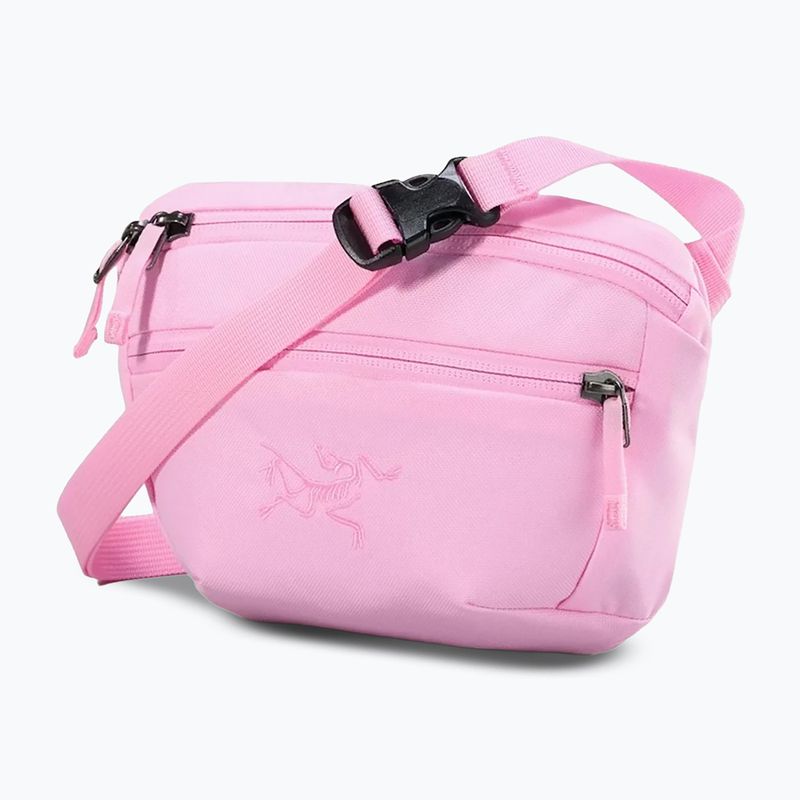 Bustina Arcteryx Mantis 1 1,5 l