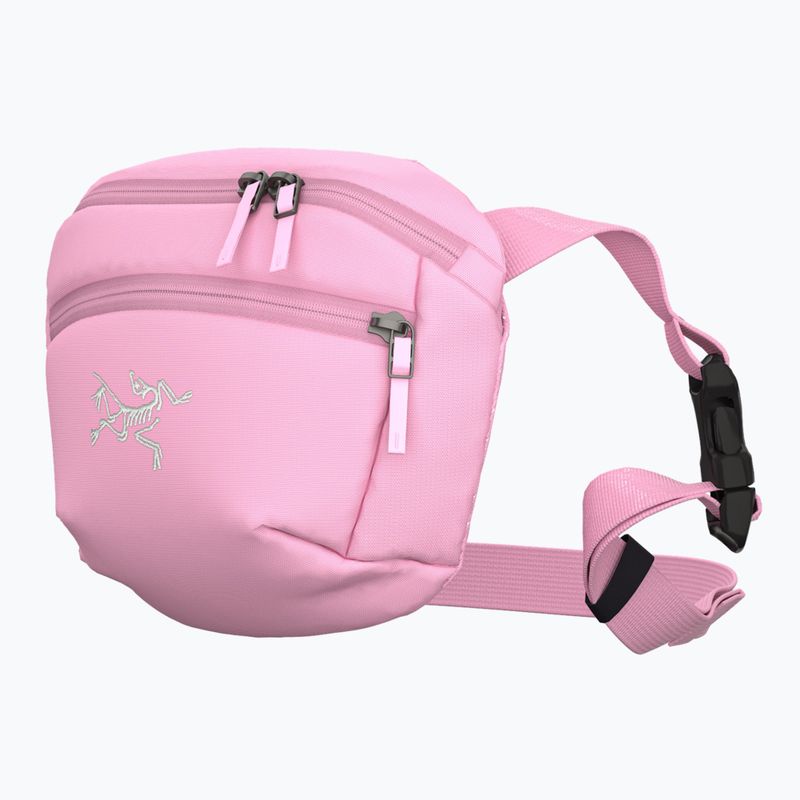 Bustina Arcteryx Mantis 1 1,5 l 2