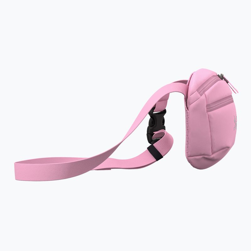 Bustina Arc'teryx Mantis 1 1,5 l 4