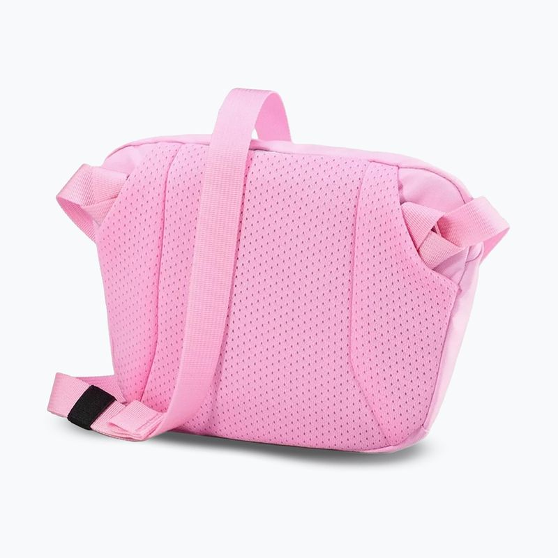 Bustina Arcteryx Mantis 1 1,5 l 2