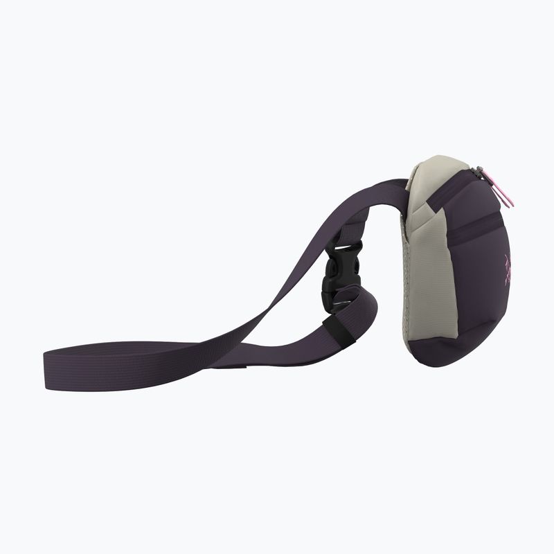 Bustina Arcteryx Mantis 1 1,5 l 4