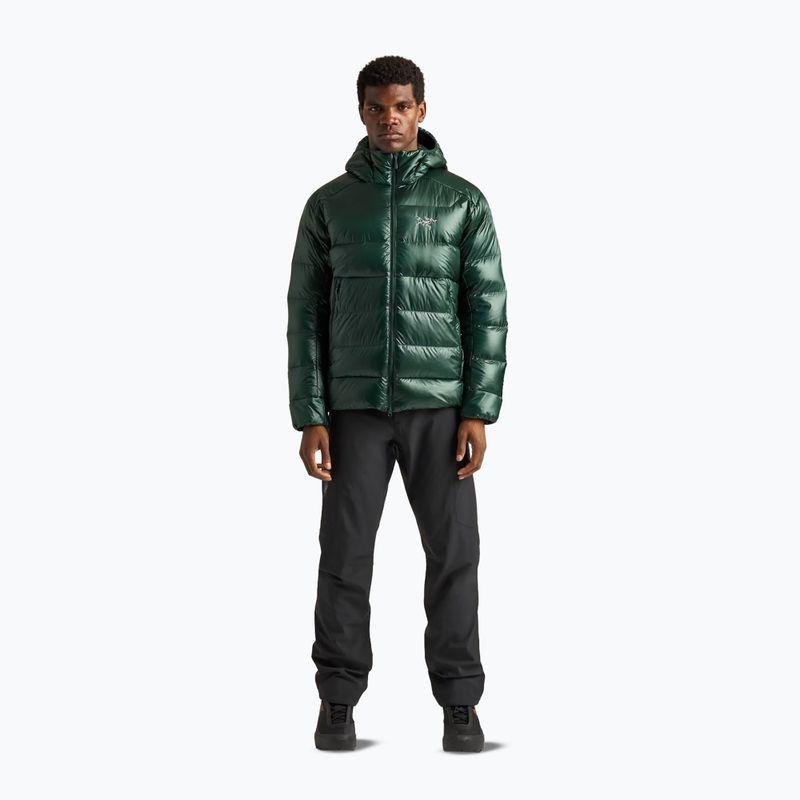 Giacca imbottita da uomo Arcteryx Cerium SV Hoody dark jade 2