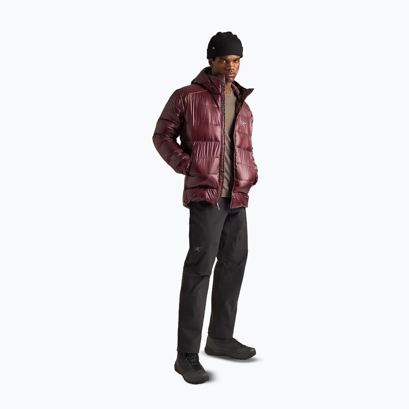 Giacca imbottita da uomo Arcteryx Cerium SV Hoody ultima 4