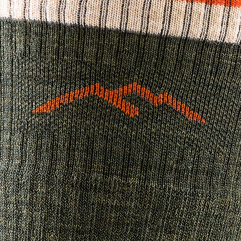 Calze da uomo Darn Tough Hiker Boot Sock Cushion oliva 2