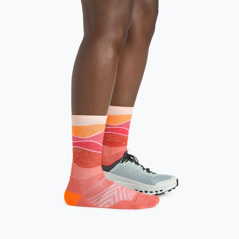 Calze da donna Darn Tough Horizon Micro Crew Cushion canyon 2