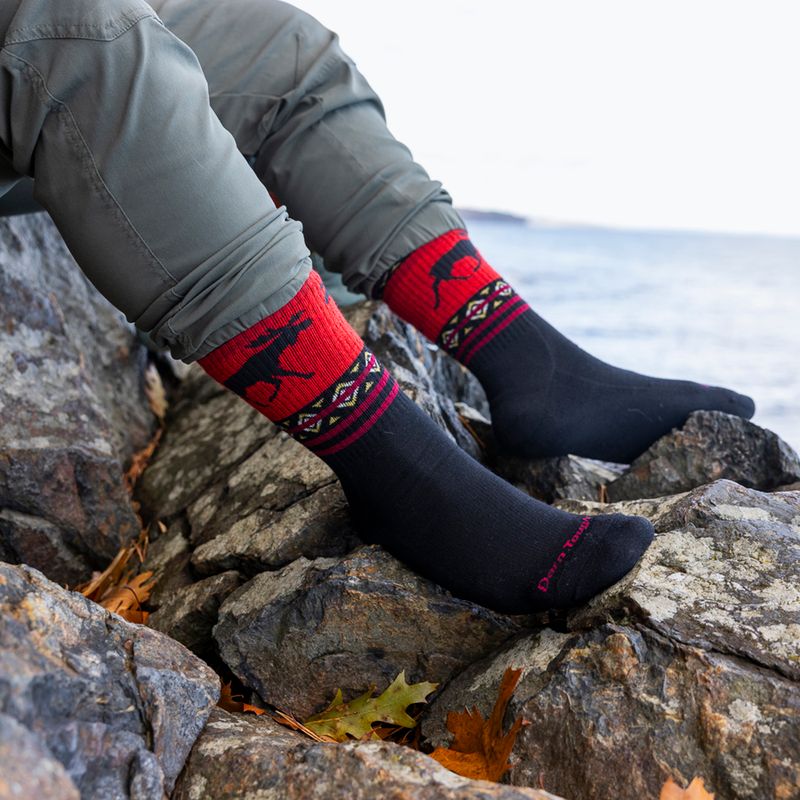 Calze da uomo Darn Tough VanGrizzle Boot Sock Cushion moose black 6