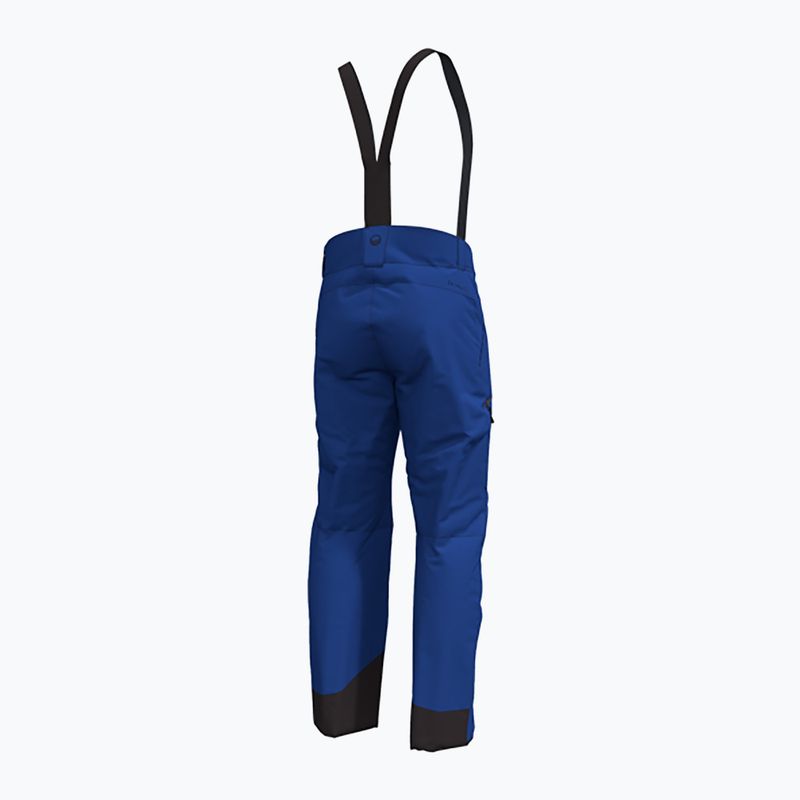 Pantaloni da sci da uomo Halti Carvey DX surf the web blu 2