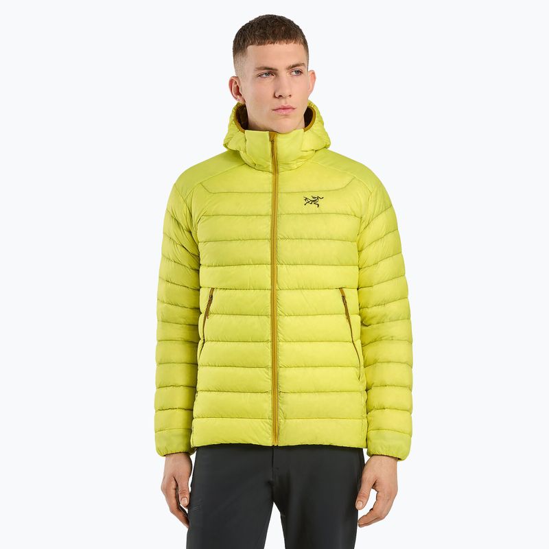 Piumino Arc'teryx Cerium Hoody oracle da uomo