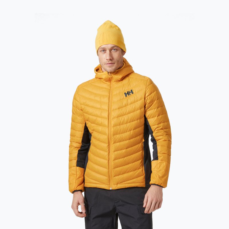 Giacca uomo Helly Hansen Verglas Hooded Down Hybrid Ins cloudberry