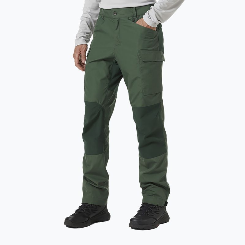 Pantaloni da trekking da uomo Helly Hansen Vandre Tur spruce