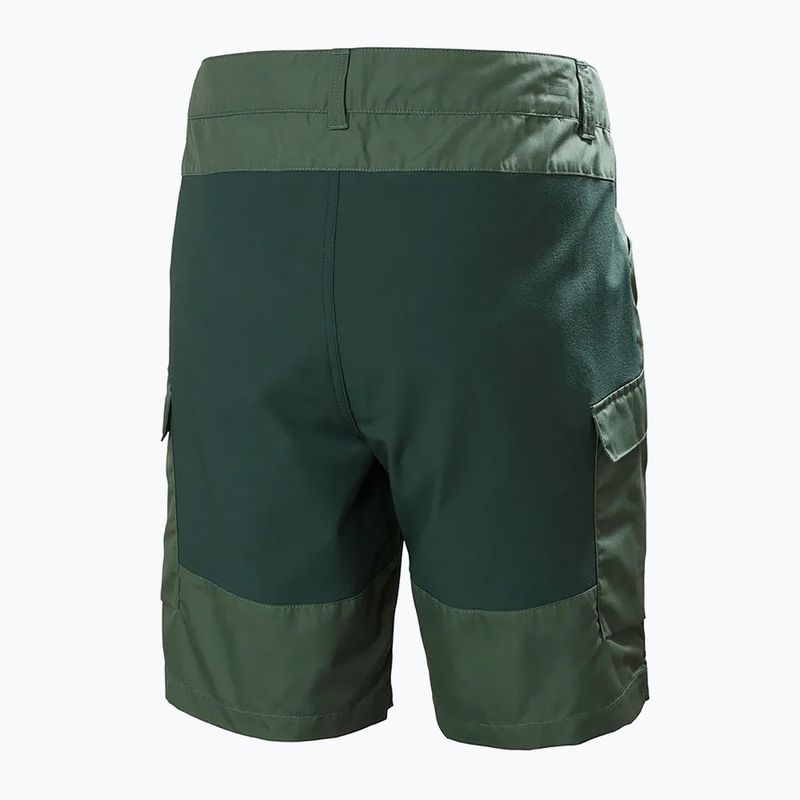 Pantaloncini da trekking da uomo Helly Hansen Vandre Cargo Spruce 6