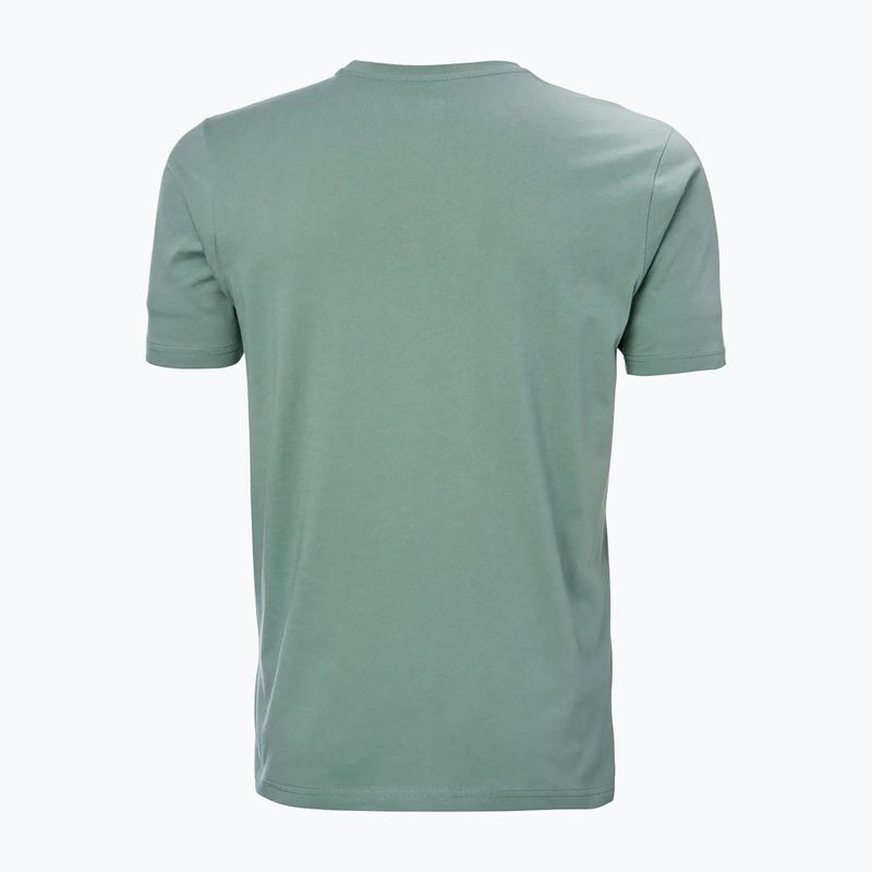 Maglietta Helly Hansen HH Logo cactus da uomo 5