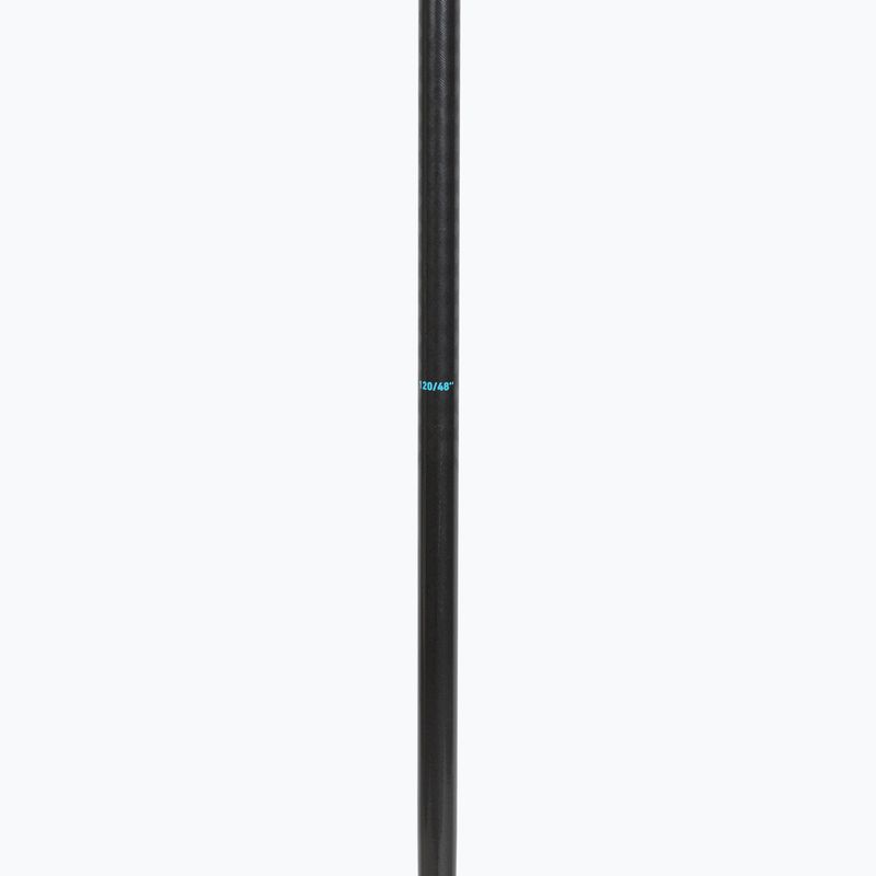 Bastoni da sci HEAD Frontside carbon black/speed blue 4