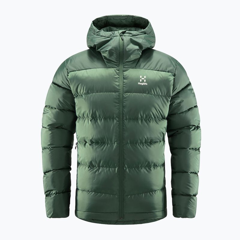 Piumino da uomo Haglöfs Bield Down Hood fjell verde 6