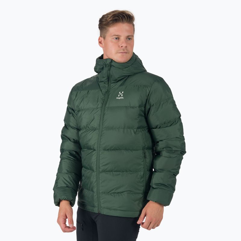 Piumino da uomo Haglöfs Bield Down Hood fjell verde