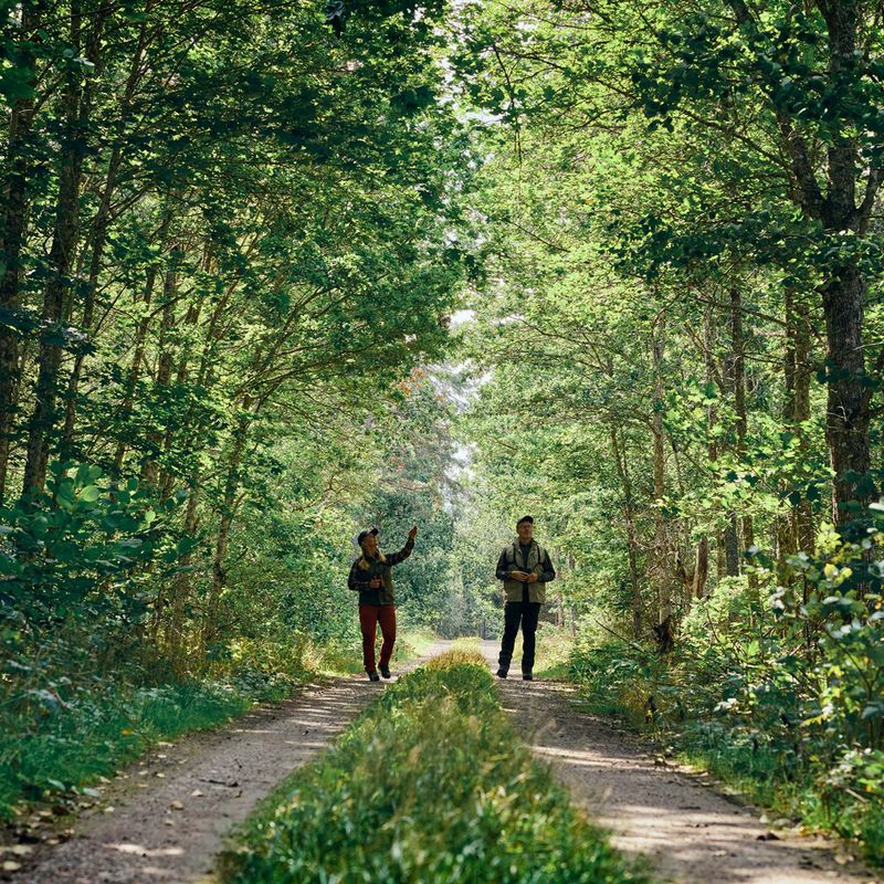 Pantaloni da trekking uomo Pinewood Caribou TC Extreme moss green/black 6
